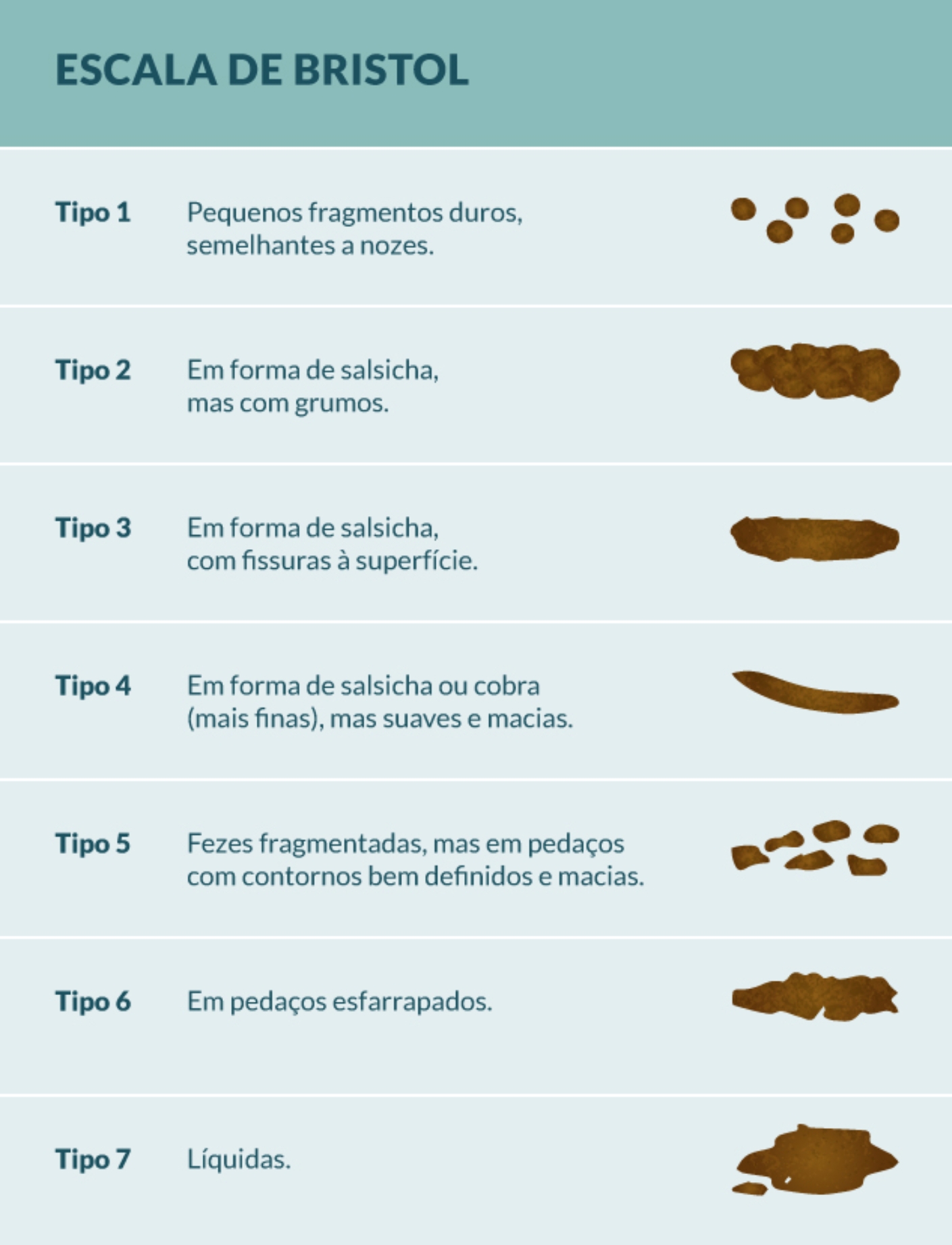 7 principais tipos de cocô (e o que dizem sobre a saúde) - Tua Saúde
